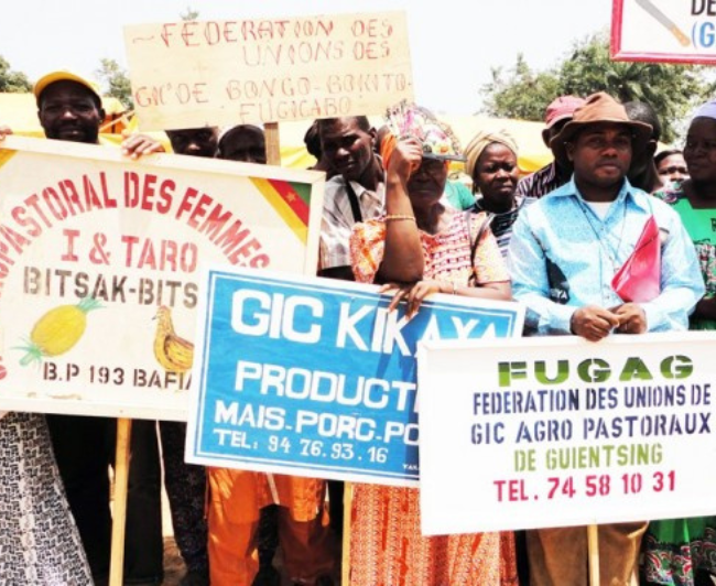Associations/GIC FICOM SA